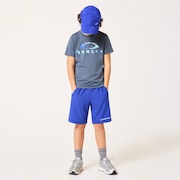 Ytr Woven Shorts 11.0 - Sapphire