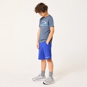 Ytr Woven Shorts 11.0 - Sapphire