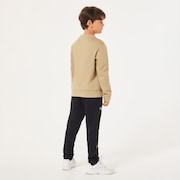 Ytr Dry Tech Cotton Fleece Crew 10.0 - Pebble