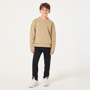 Ytr Dry Tech Cotton Fleece Crew 10.0 - Pebble
