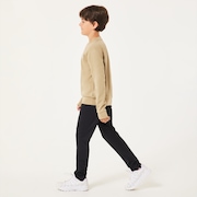 Ytr Dry Tech Cotton Fleece Crew 10.0 - Pebble