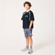 Ytr Ny Shorts 11.0 - Gray Dust