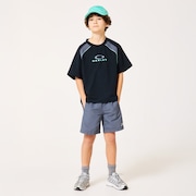 Ytr Ny Shorts 11.0 - Gray Dust