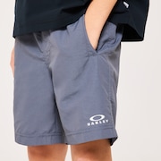 Ytr Ny Shorts 11.0 - Gray Dust