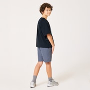 Ytr Ny Shorts 11.0 - Gray Dust