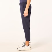 En Multi Type-02 Cropped Pants - Foggy Blue