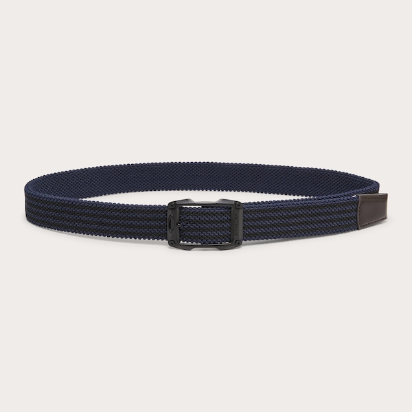 Web Reversible Belt 14.1