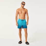 Sand Pixel Rc 16" Beachshort - Monogram Gradient Blue