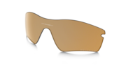 bronze polarized