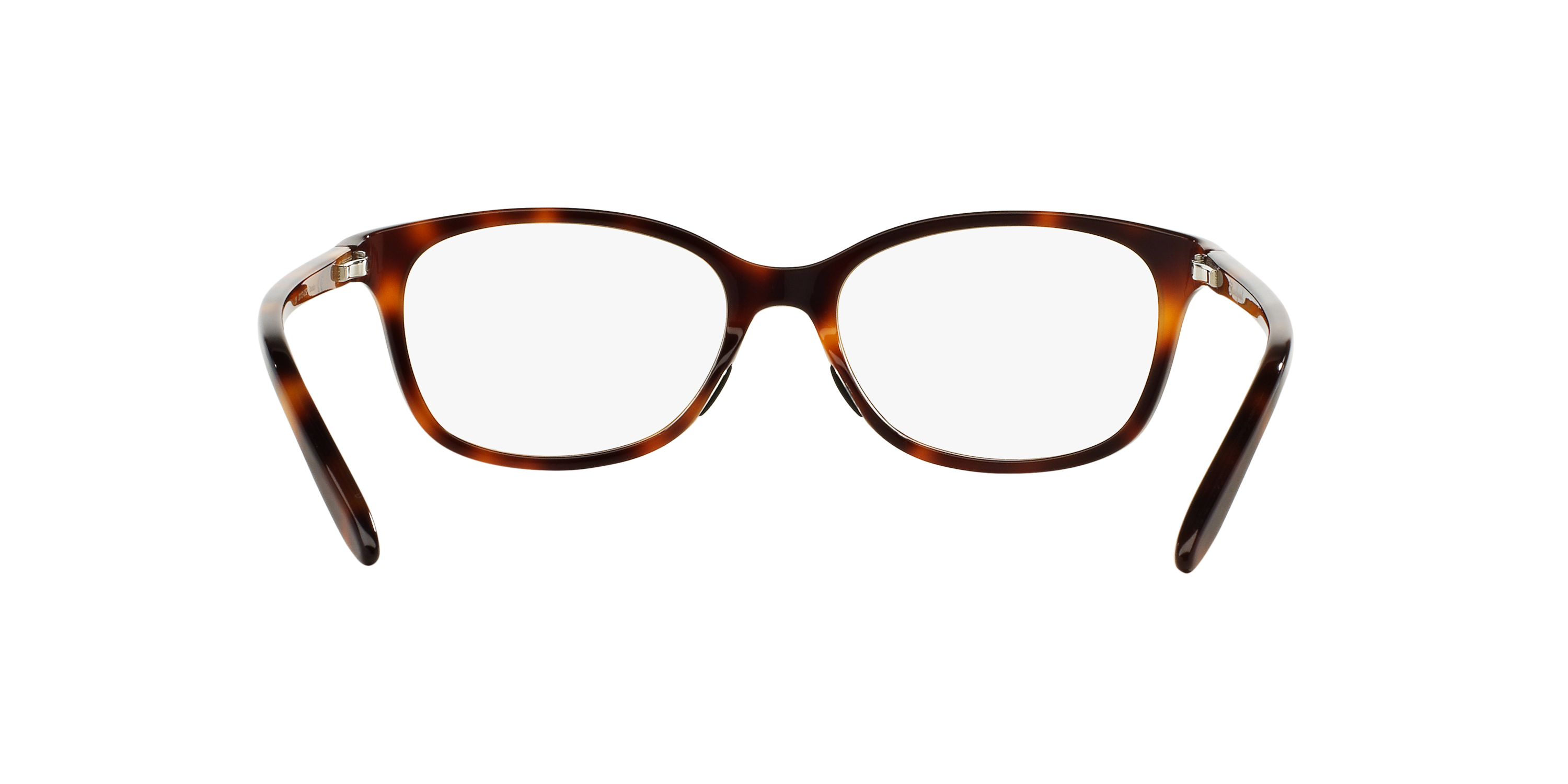 CORAL＆TUSK コーラルアンドタスク エプロン Eyeglasses エプロン Eye Glasses – ATELIER ONLINE