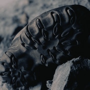 Tênis Oakley Airstrip x GDLP - Heather Grey