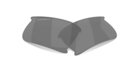 prizm black polarized