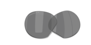 prizm black polarized