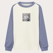 Ytr Tc Raglan LS Tee 10.0 - Mist