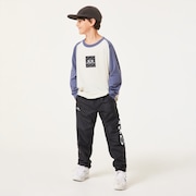 Ytr Tc Raglan LS Tee 10.0 - Mist