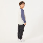 Ytr Tc Raglan LS Tee 10.0 - Mist