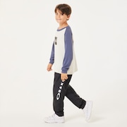 Ytr Tc Raglan LS Tee 10.0 - Mist
