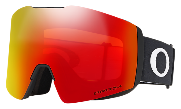 Fall Line L Snow Goggles