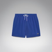 Robinson Rc 16" Beachshort - Electric Blue