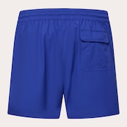 Robinson Rc 16" Beachshort - Electric Blue