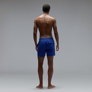 Robinson Rc 16" Beachshort - Electric Blue