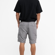 Bermuda Oakley Cargo Zip Shorts 21" - Mist