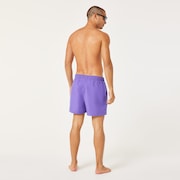 Beach Volley 16" Beachshort - Fluorite Purple