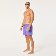 Beach Volley 16" Beachshort - Fluorite Purple