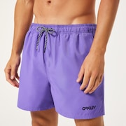Beach Volley 16" Beachshort - Fluorite Purple