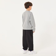 Ytr Dry Tech Cotton Fleece Crew 10.0 - New Athletic Grey