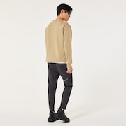 Foundational Fleece L/S Crew 4.0 - Pebble
