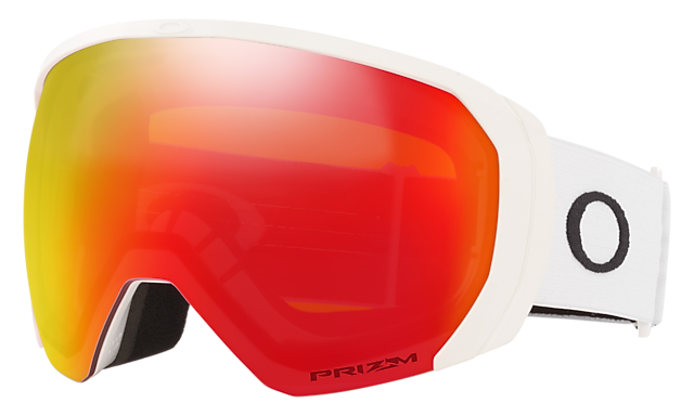 Flight Path L Snow Goggles