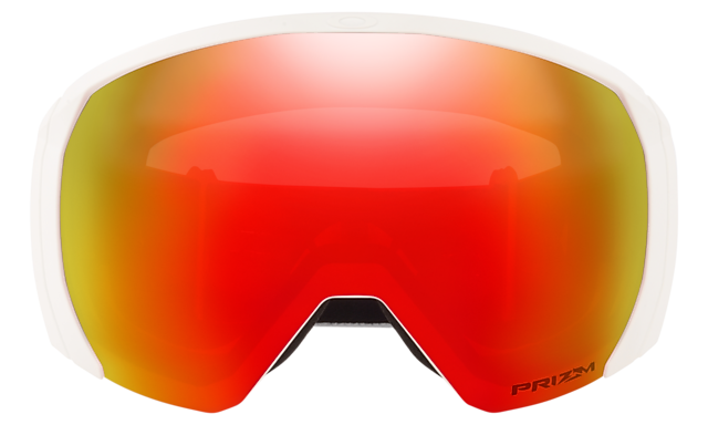 Flight Path L Snow Goggles
