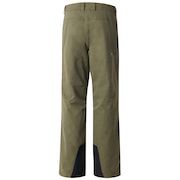 Regulator Insula 2L 10K Pant - Dark Brush