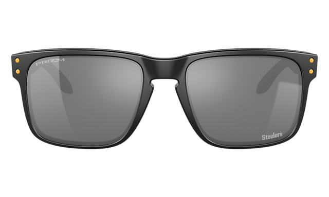 Pittsburgh Steelers Holbrook™