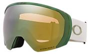 Flight Path L Snow Goggles