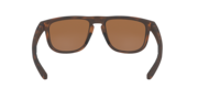 Holbrook™ R - Matte Dark Brown Tortoise