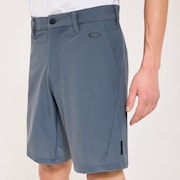 Skull Apex Aero Shorts - Gray Dust