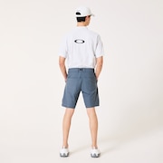 Skull Apex Aero Shorts - Gray Dust