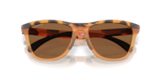 Frogskins™ Range XL (Low Bridge Fit) - Matte Tortoise Transparent Ginger