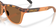 Frogskins™ Range XL (Low Bridge Fit) - Matte Tortoise Transparent Ginger