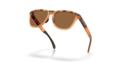 Frogskins™ Range XL (Low Bridge Fit) - Matte Tortoise Transparent Ginger