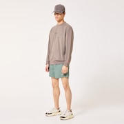 New Retro Fleece L/S Crew 1.0 - Bark