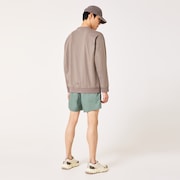 New Retro Fleece L/S Crew 1.0 - Bark