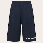 Ytr Woven Shorts 11.0 - Pitch Black