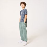 Ytr Qd SS  O Bark Tee 11.0 - Gray Dust