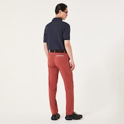 Oakley Terrain Perf Pant - Rosewood