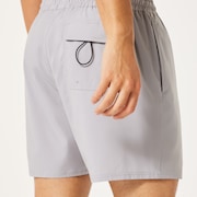Robinson Rc 16" Beachshort - Cement