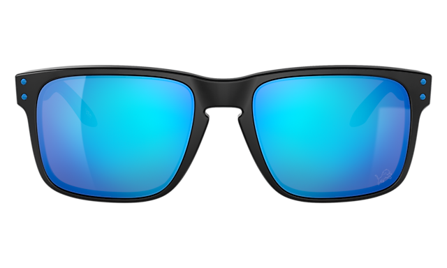 Detroit Lions Holbrook™