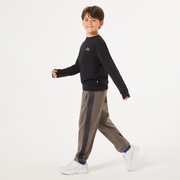 Ytr Qd Fleece Hazard PT 10.0 - Plum